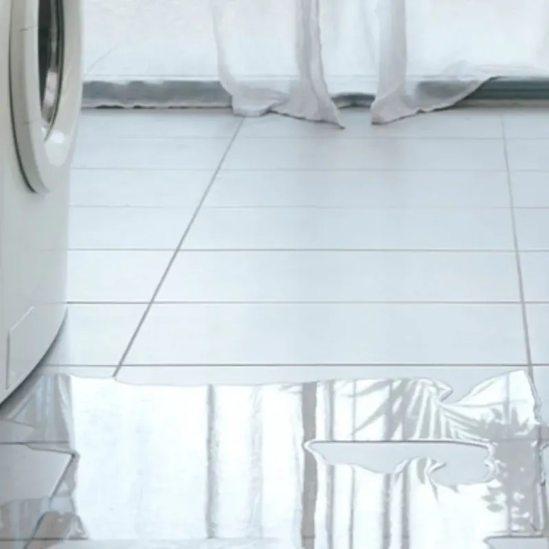 Appliance Leak Cleanup in Kapaa, HI